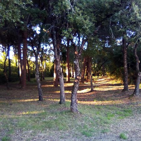 Enjoy The Best Of Countryside Leiria Dış mekan fotoğraf
