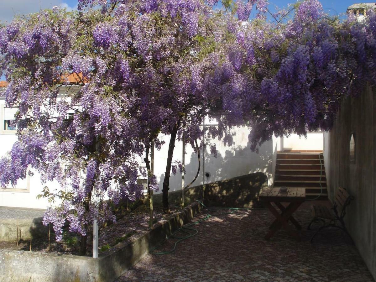 Enjoy The Best Of Countryside Leiria Dış mekan fotoğraf