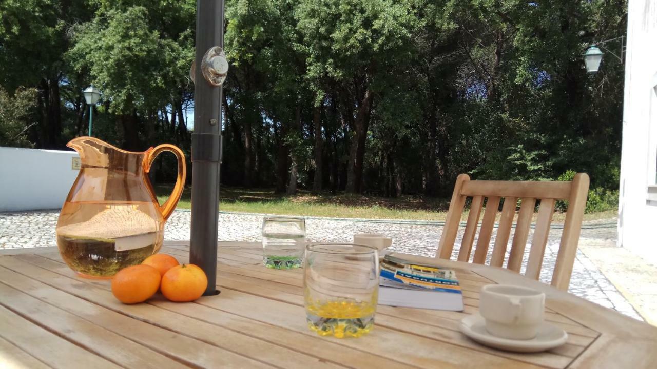 Enjoy The Best Of Countryside Leiria Dış mekan fotoğraf