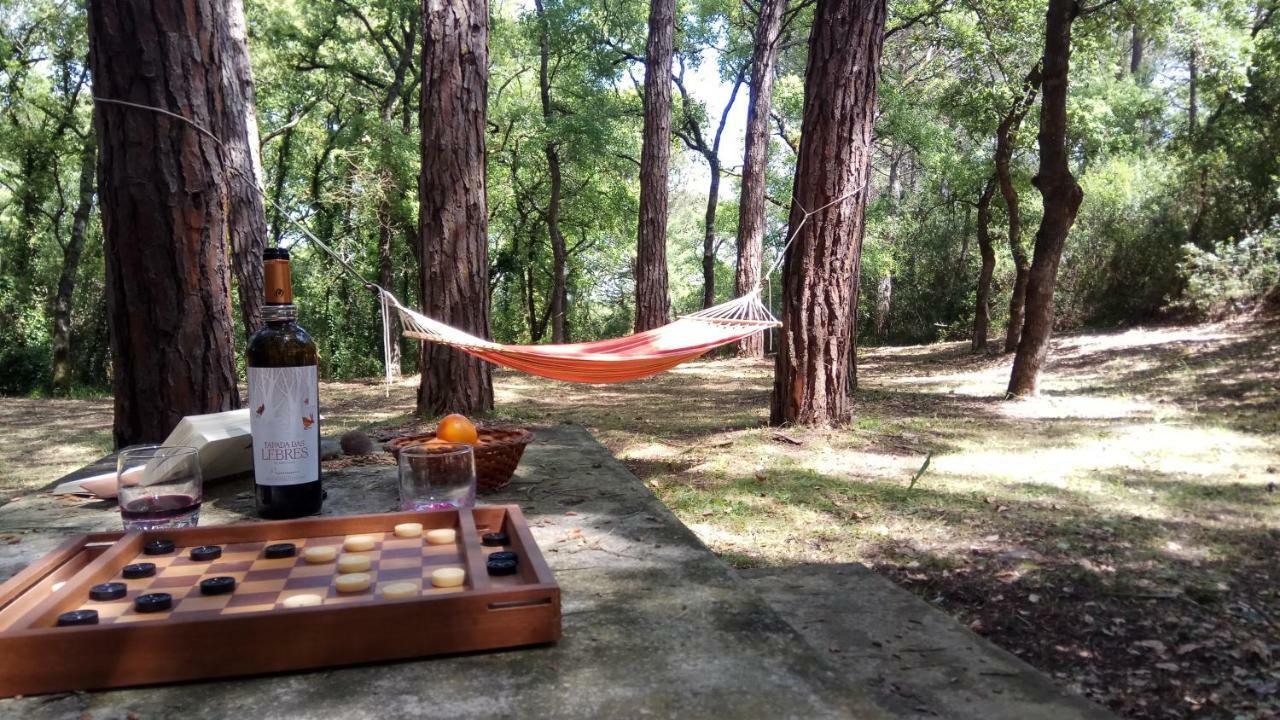 Enjoy The Best Of Countryside Leiria Dış mekan fotoğraf